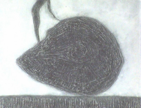 82R.jpg